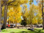 Autumn day at the park - thumbnail