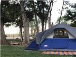 Tent site - thumbnail