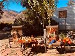 Halloween decor at sites - thumbnail