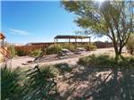 Picnic tables under shade near a fire pit at CANYONS OF ESCALANTE RV PARK - thumbnail