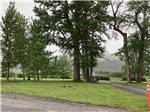 View larger image of A couple of gravel roads at RIVERFRONT RV PARK image #11