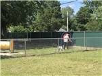 A man playing with a dog in the pet area at BARNYARD RV PARK - thumbnail