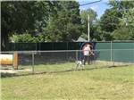 A man playing with a dog in the pet area at Barnyard RV Park - thumbnail