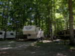 RVs in gravel sites at Timberline Campground - thumbnail