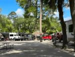 Parked RV's at site Sun Outdoors St Augustine - thumbnail