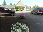 View larger image of Flowers at BLUE OX RV PARK image #2