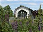 Purple flowers in foreground of wooden bridge over creek at Blue Ox RV Park - thumbnail