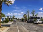 Paved road leading to campsites at TWENTYNINE PALMS RESORT RV PARK AND COTTAGES - thumbnail