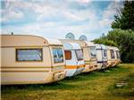 A row of vintage trailers at TRAILER LANE CAMPGROUND - thumbnail