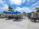 Seating area outside of the pool at Pismo Sands RV Resort - thumbnail