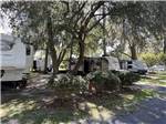 Motorhomes in shady campsites at KELLY'S COUNTRYSIDE RV PARK - thumbnail