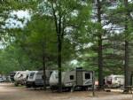Towables among the trees at Ozark RV Park - thumbnail