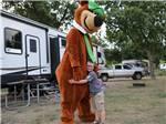 Yogi visits campsite - thumbnail