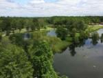 Lush greenery and lake at Hidden Lakes Family Campground - thumbnail