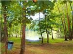 View larger image of Looking thru the trees at the lake at SOARING EAGLE CAMPGROUND  RV PARK image #4