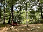 Large trees and open area at YORK BEACH CAMPER PARK - thumbnail