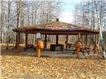 The wooden pavilion with picnic benches at THREE BEARS TRAPPER CREEK INN & RV PARK - thumbnail