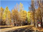 The colorful autumn trees around the pavilion at THREE BEARS TRAPPER CREEK INN & RV PARK - thumbnail