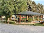 Covered picnic area surrounded by trees at EAGLE RV PARK & CAMPGROUND - thumbnail