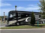 Motorhome with full-body paint of swirls at ST AUGUSTINE RV RESORT - thumbnail