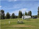 A view of the empty grassy sites at AIRPORT INN MOTEL AND RV PARK - thumbnail