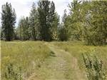 A walking path in a grassy area at AIRPORT INN MOTEL AND RV PARK - thumbnail