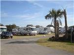 View larger image of RVs and trailers at campground at OCALA SUN RV RESORT image #8