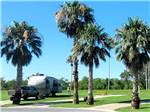 A travel trailer parked in a paved site at RIVER BEND RESORT & GOLF CLUB - thumbnail