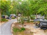 Road gently curves through RV campground at THE CAMPGROUND AT JAMES ISLAND COUNTY PARK - thumbnail