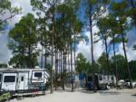 RVs parked in sites - thumbnail