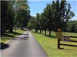 A paved road lined with trees at L & D RV PARK - thumbnail