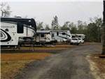 A gravel road in front of the RV sites at FLAT CREEK FAMILY CAMPGROUND - thumbnail