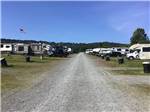 View larger image of A gravel road with RV sites on both side at OCEAN SHORES RV PARK  RESORT image #6