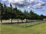 The fenced in pet area at TRIPLE 'J' RV PARK - thumbnail