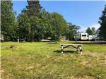 A group of grassy RV sites with picnic tables at HARDINGS POINT CAMPGROUND - thumbnail