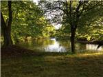 View larger image of Shade trees near the river at PEACHTREE COVE RV PARK image #6