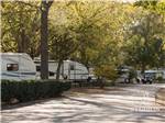 View larger image of Camping trailers in sites at PEACHTREE COVE RV PARK image #11