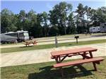 A few empty RV sites with benches at DOTHAN RV PARK - thumbnail