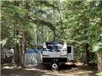 View larger image of A trailer in an RV site under trees at TWO LAKES CAMPING AREA image #12