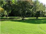 A group of grassy campsites at LAKE BLUFF CAMPGROUND - thumbnail