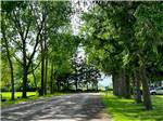 Campground photo thumbnail