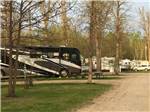 View larger image of A row of RVs under trees at ROYAL OAKS RV PARK image #5