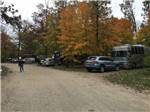 The gravel road leading to the campsites at ROYAL OAKS RV PARK - thumbnail
