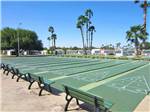 View larger image of Shuffleboard courts at ENCORE COUNTRY SUNSHINE image #4