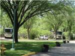 Motorhomes and car surrounded by thick trees at GORDON HOWE CAMPGROUND - thumbnail