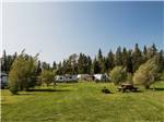 Grassy area - thumbnail