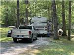 View larger image of  A motorhome in a wooded RV site at SPRING HILL RV PARK image #2