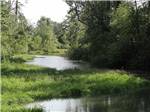 View larger image of The river with lots of trees at COTTONWOOD MEADOWS RV COUNTRY CLUB image #8