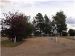 Empty RV site surrounded by trees at NORTHERN LIGHTS RV PARK - thumbnail