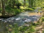 Creek through park at WHISPERING PINES CAMPGROUND & RV PARK - thumbnail